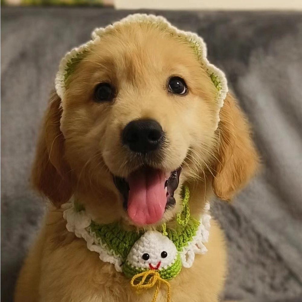 pet’s crochet handmade